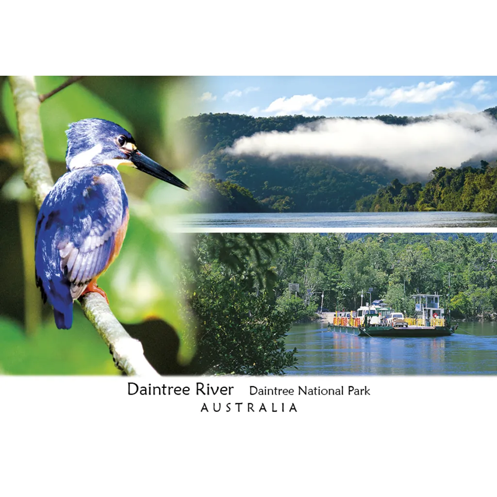 Daintree