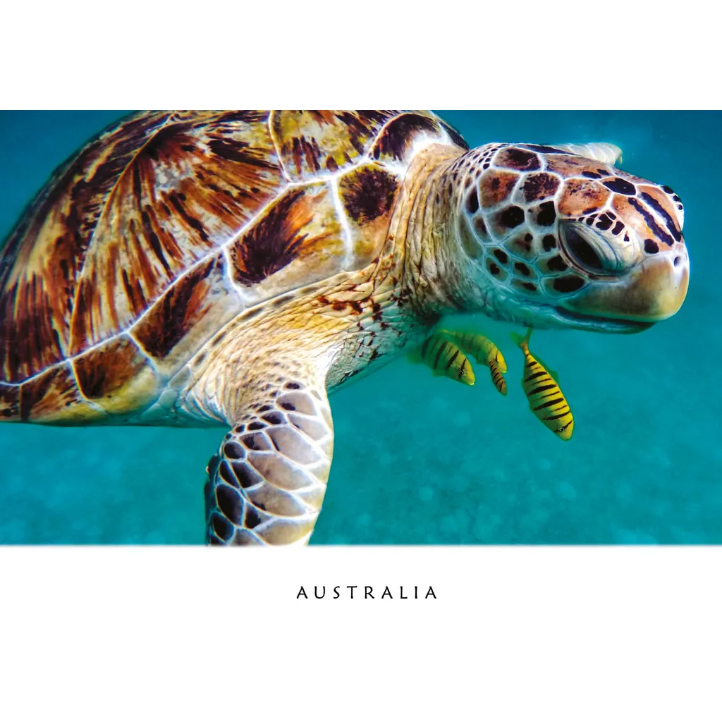 Great Barrier Reef