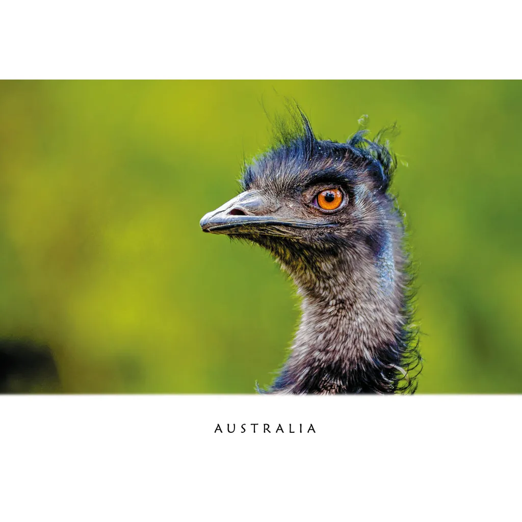 Emu